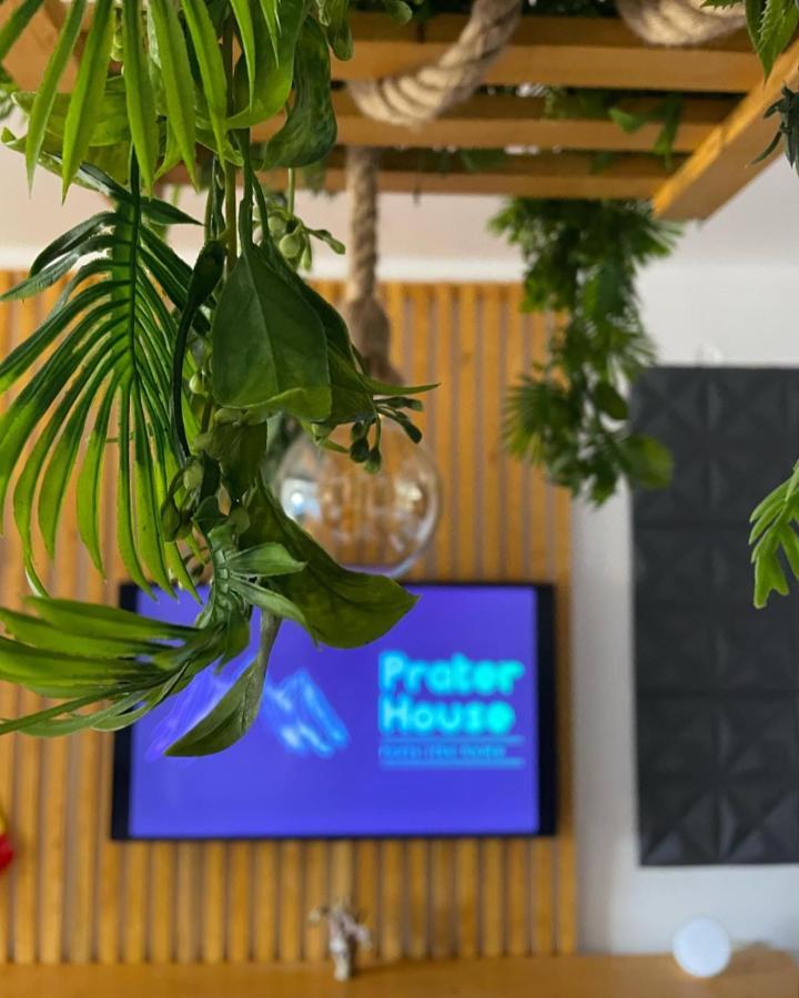 Prater House Mountain View Villa Moieciu de Jos Ngoại thất bức ảnh