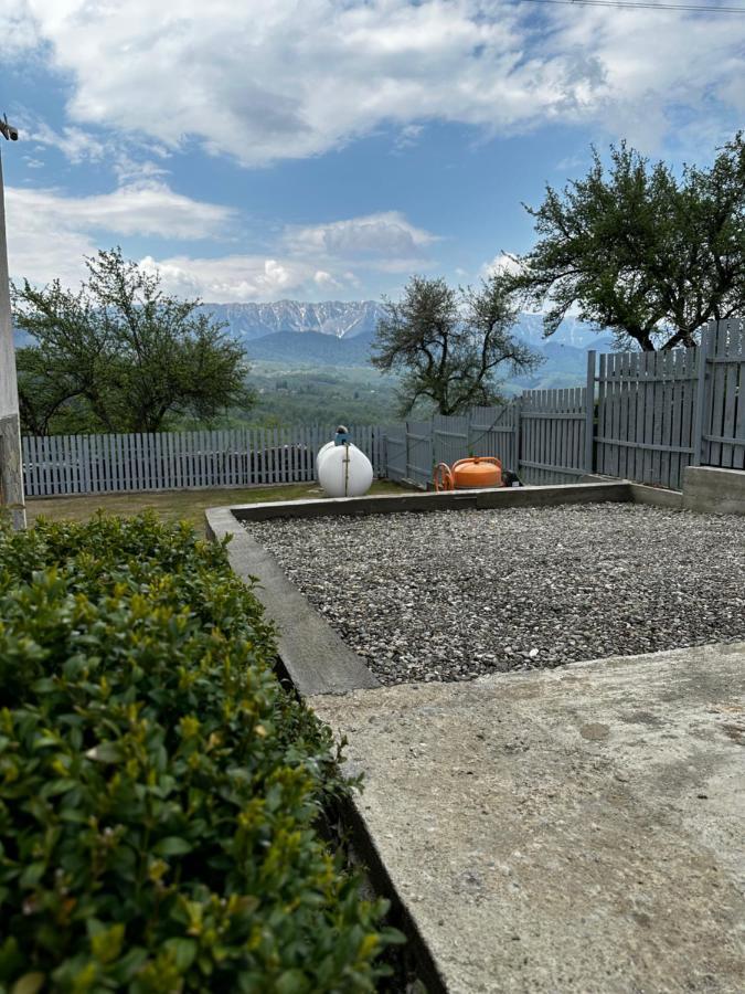 Prater House Mountain View Villa Moieciu de Jos Ngoại thất bức ảnh