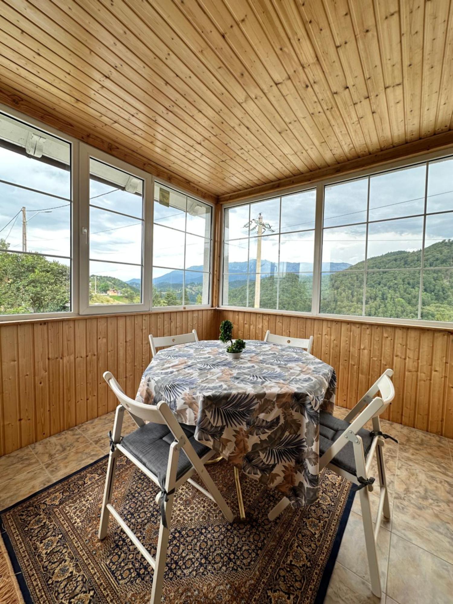 Prater House Mountain View Villa Moieciu de Jos Ngoại thất bức ảnh